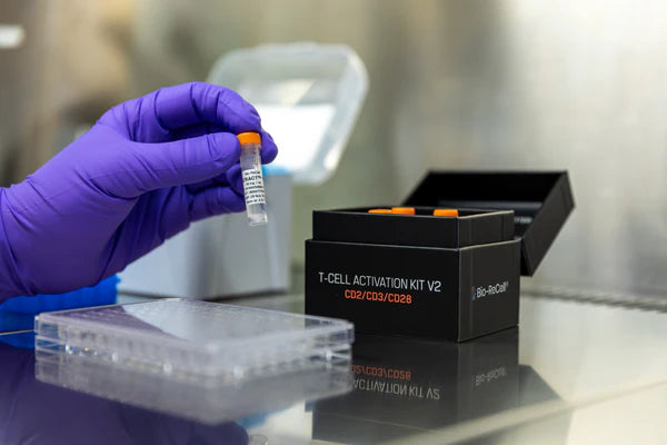 T-CELL Activation Kit